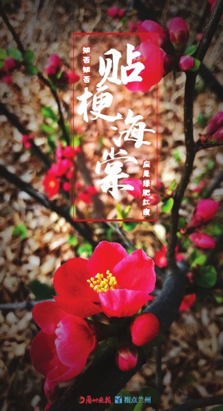 來(lái)，跟這些美美的花朵認(rèn)識(shí)一下！