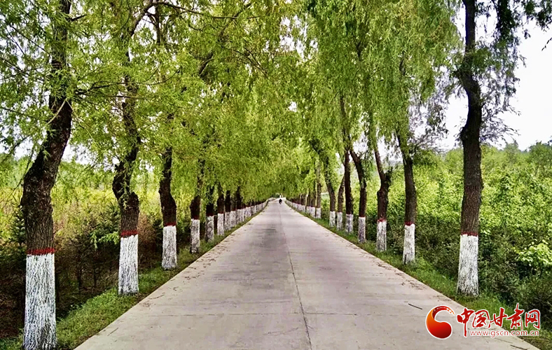 【甘肅省決戰(zhàn)決勝脫貧攻堅】臨夏縣：脫貧攻堅顯成效 鄉(xiāng)村面貌大變樣（圖）