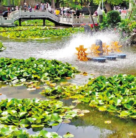 走，到五泉山公園看花展去