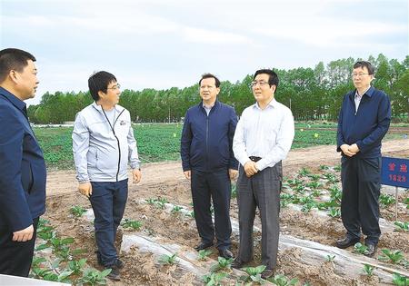林鐸在天祝縣調研指導脫貧攻堅工作時強調  拉開架勢持續(xù)用力構建扶貧產業(yè)體系 多措并舉固強補弱鞏固提升脫貧成果