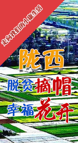 【走向我們的小康生活】長圖|隴西：脫貧摘帽 幸?；ㄩ_