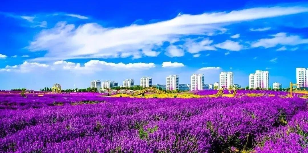 喜訊！金昌蟬聯(lián)全國文明城市