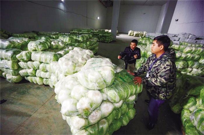 蘭州市已儲備1萬噸冬春蔬菜以耐貯存、易周轉(zhuǎn)品種為主