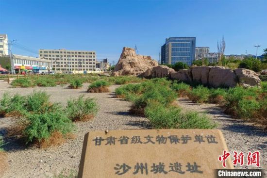 圖為沙州郡城遺址公園古遺址?！⊥醣筱y 攝