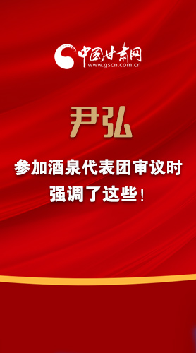 【2022甘肅兩會·圖解】尹弘書記參加酒泉代表團審議時強調了這些！