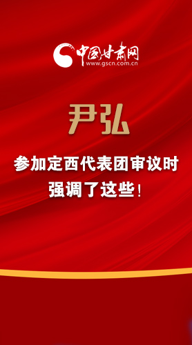 【2022甘肅兩會·圖解】尹弘書記參加定西代表團審議時強調了這些！