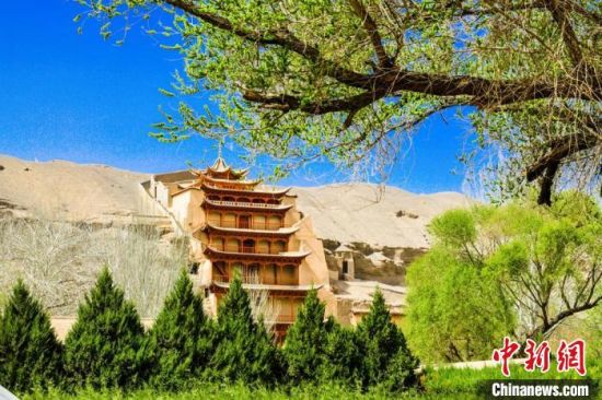 4月的敦煌莫高窟景區(qū)春意盎然。(資料圖) 王斌銀 攝