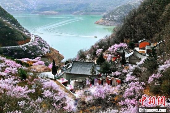 甘肅平?jīng)鍪惺侵袊鴥?yōu)秀旅游城市。圖為平?jīng)鲠轻忌较率锾一ㄊ㈤_。(資料圖) 平?jīng)鍪形麄鞑抗﹫D