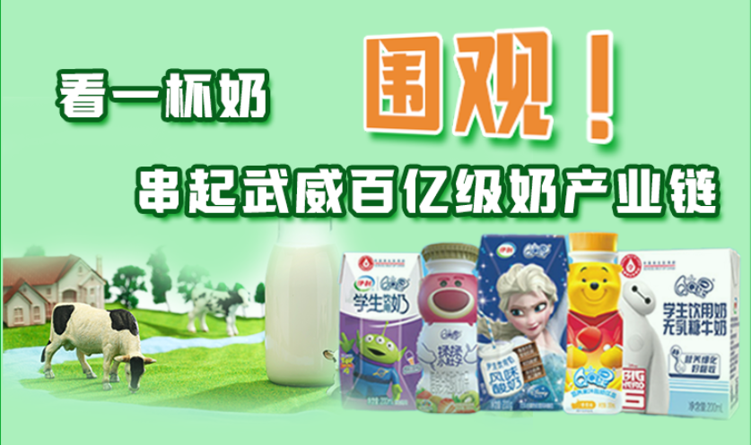 圖解|圍觀！看一杯奶串起武威百億級奶產(chǎn)業(yè)鏈