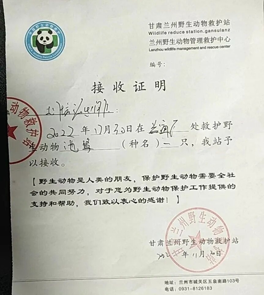 受到救助的池鷺被蘭州野生動物保護站接收。（蘭州市公安局七里河分局供圖）