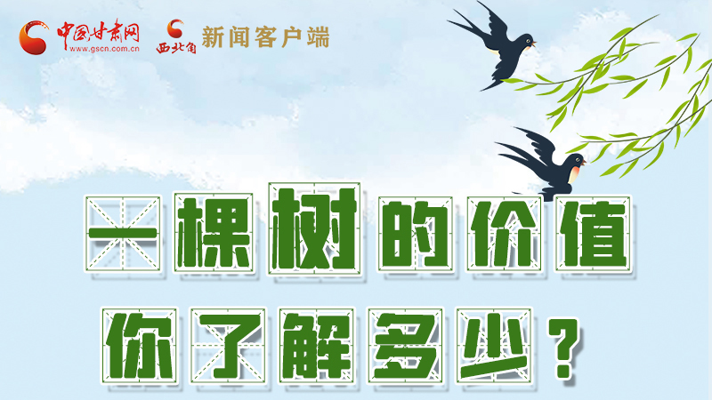 圖解|一棵樹的價(jià)值你了解多少?來看！