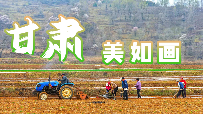 微海報|甘肅，美如畫