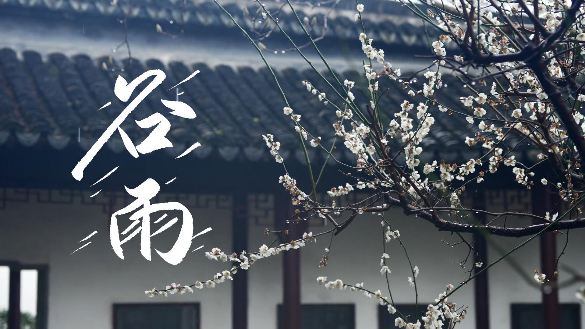 【節(jié)氣里的大美甘肅】谷雨，春天的最后一次回眸