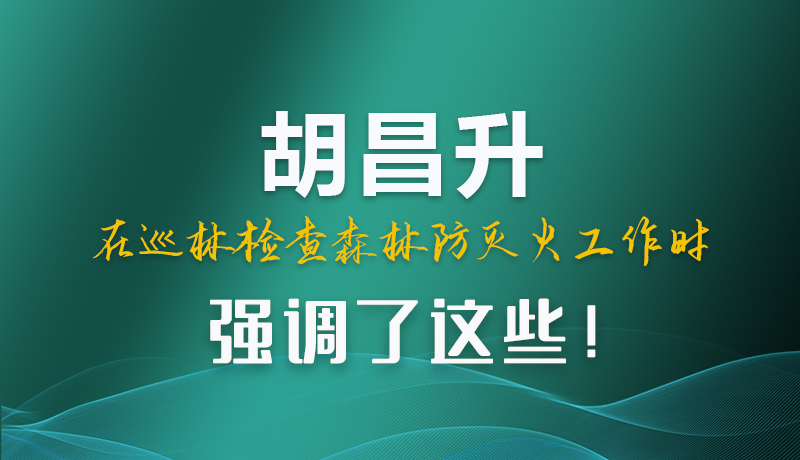 圖解|胡昌升在巡林檢查森林防滅火工作時(shí)強(qiáng)調(diào)了這些！