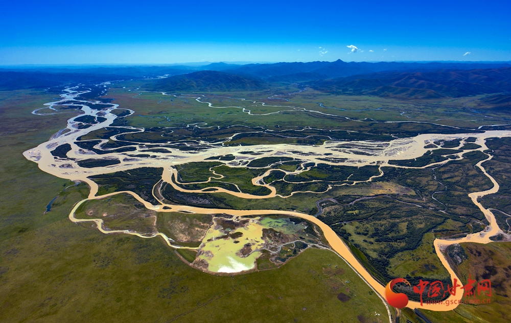 隴拍客丨瑪曲：冬日濕地白鷺翩躚生態(tài)美