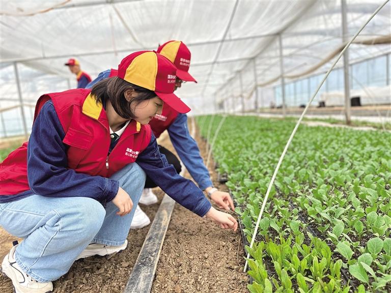 電網(wǎng)升級強(qiáng)基礎(chǔ) 精準(zhǔn)幫扶興產(chǎn)業(yè)