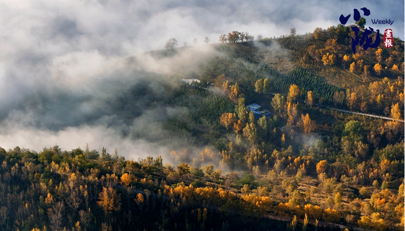 【小隴畫報·443期】多圖放送 斑斕臨夏冬色迷人
