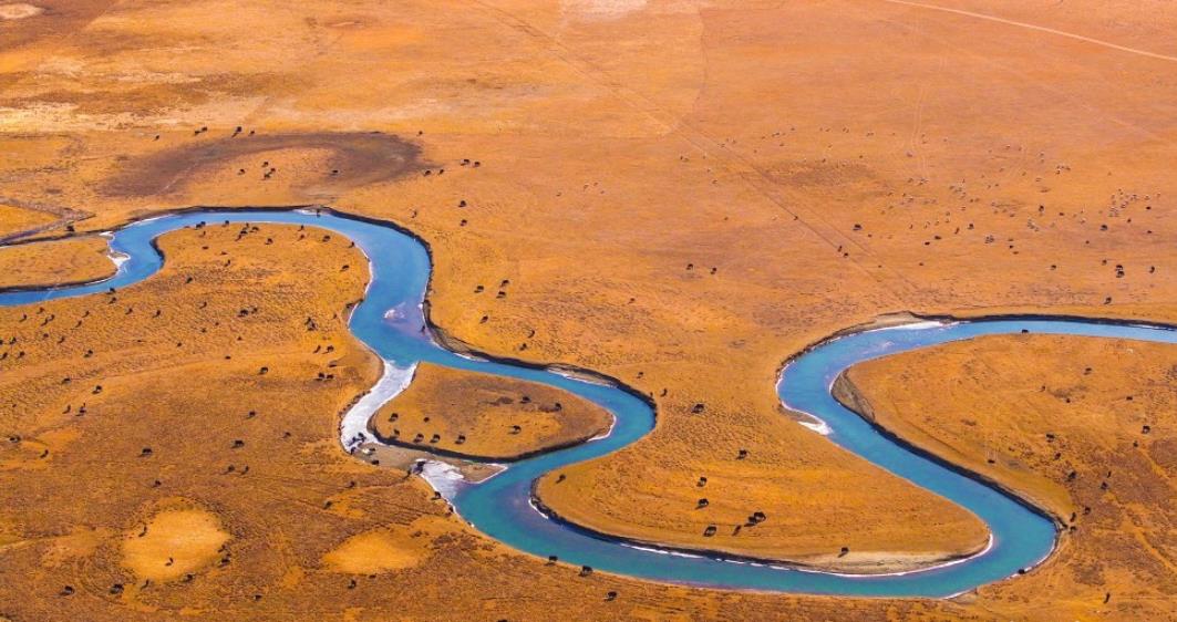 牧歌悠揚濕地美 瑪曲草原的冬日慢時光